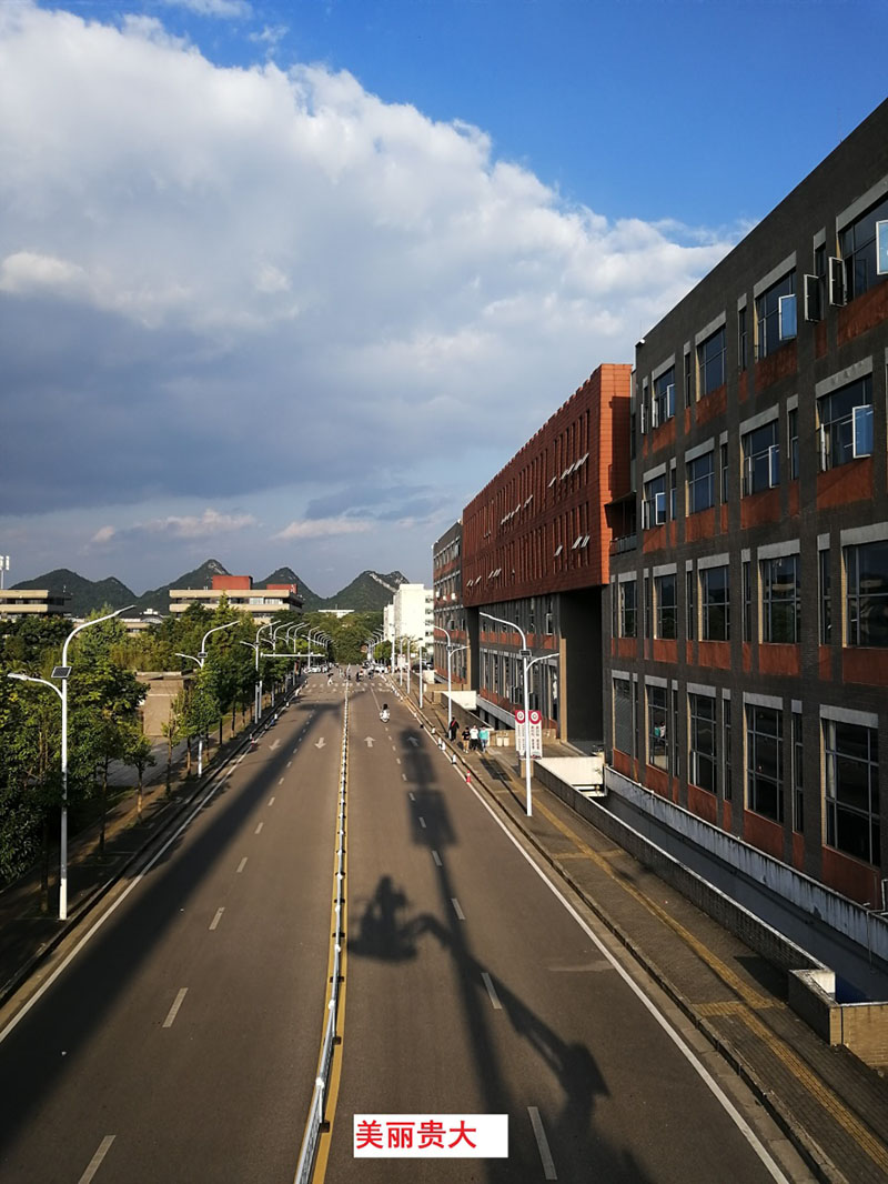 貴州某高校為本校區內600多盞路燈更換LED燈頭及加裝太陽能LORA調光控制模塊,達到了節能和智能控制的目的。(圖1)